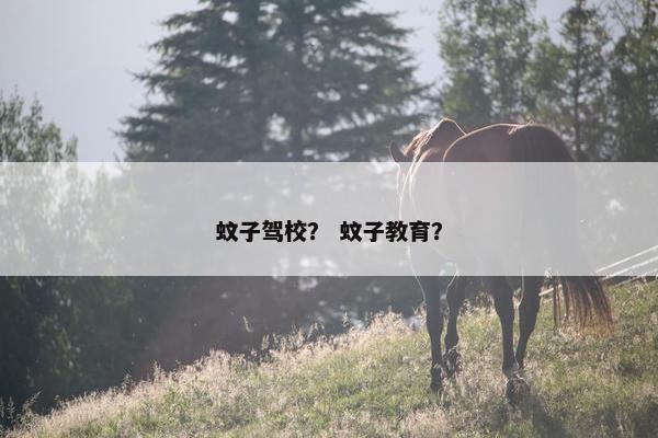 蚊子驾校？ 蚊子教育？