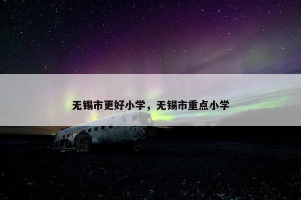 无锡市更好小学，无锡市重点小学