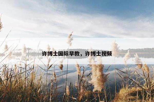 许博士国际早教，许博士视频