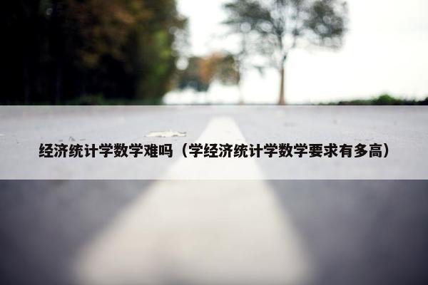 经济统计学数学难吗（学经济统计学数学要求有多高）