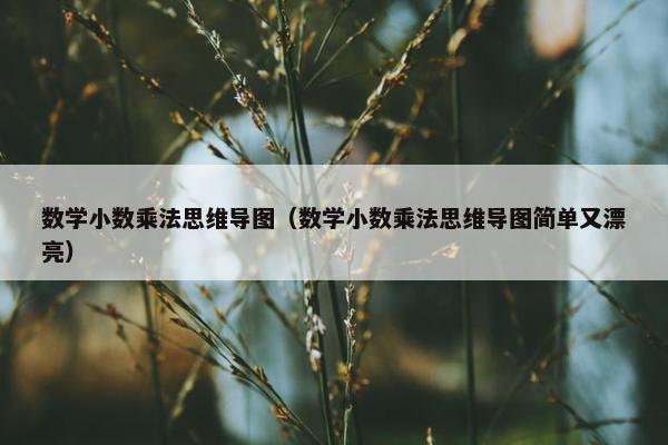 数学小数乘法思维导图（数学小数乘法思维导图简单又漂亮）