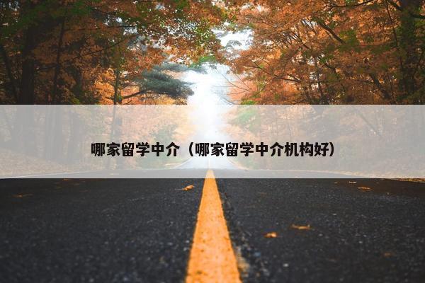 哪家留学中介（哪家留学中介机构好）