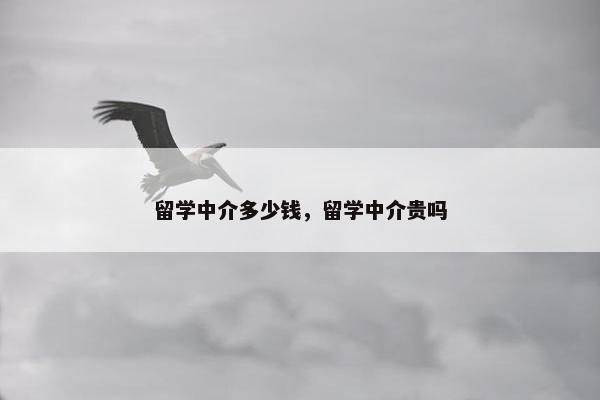 留学中介多少钱，留学中介贵吗