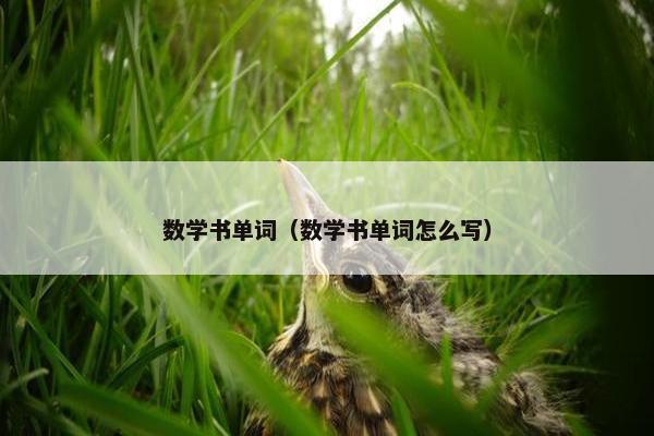 数学书单词（数学书单词怎么写）