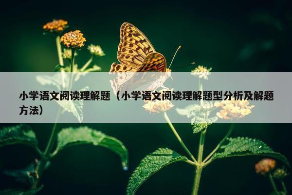 小学语文阅读理解题（小学语文阅读理解题型分析及解题方法）