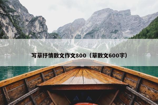 写草抒情散文作文800（草散文600字）
