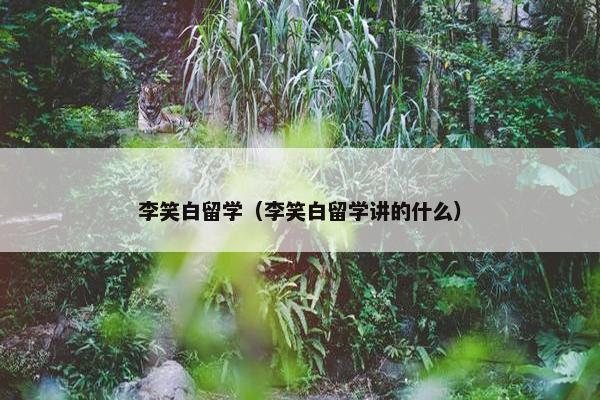 李笑白留学（李笑白留学讲的什么）