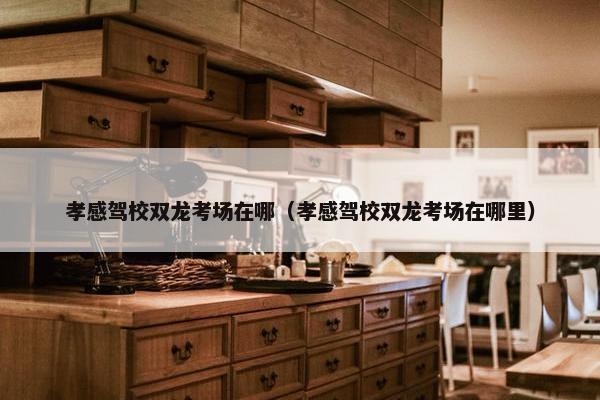 孝感驾校双龙考场在哪（孝感驾校双龙考场在哪里）
