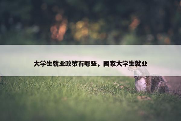 大学生就业政策有哪些，国家大学生就业