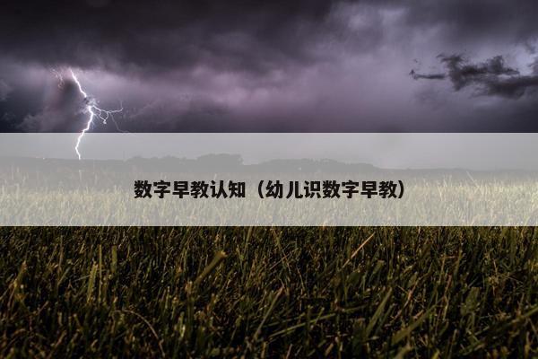 数字早教认知（幼儿识数字早教）