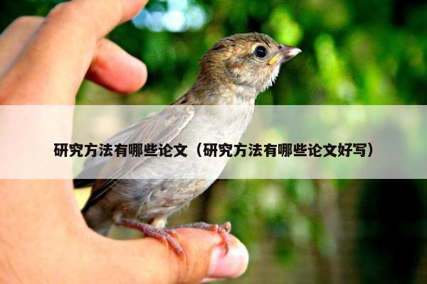 研究方法有哪些论文（研究方法有哪些论文好写）