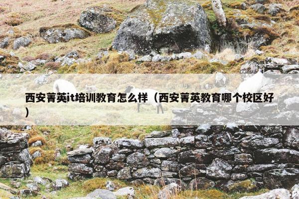 西安菁英it培训教育怎么样（西安菁英教育哪个校区好）
