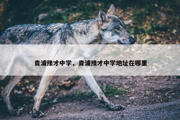 青浦豫才中学，青浦豫才中学地址在哪里