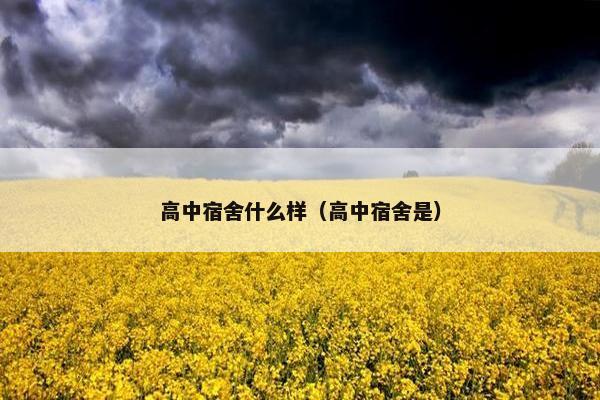 高中宿舍什么样（高中宿舍是）