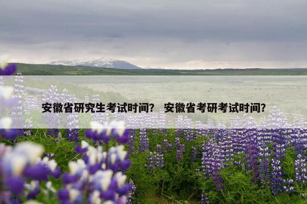 安徽省研究生考试时间？ 安徽省考研考试时间？
