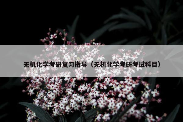 无机化学考研复习指导（无机化学考研考试科目）