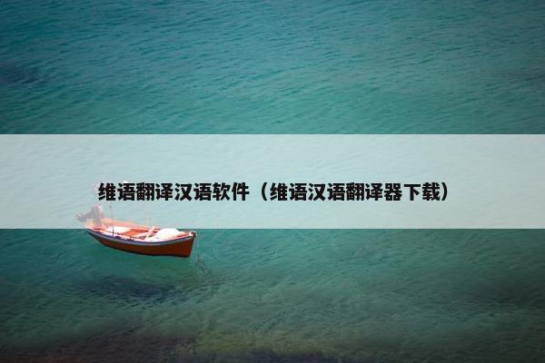 维语翻译汉语软件（维语汉语翻译器下载）