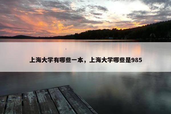 上海大学有哪些一本，上海大学哪些是985