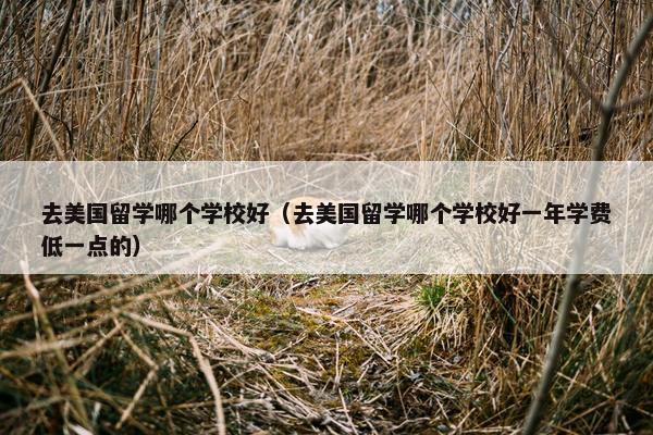 去美国留学哪个学校好（去美国留学哪个学校好一年学费低一点的）