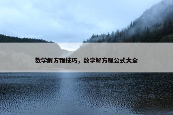 数学解方程技巧，数学解方程公式大全