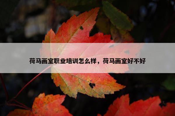 荷马画室职业培训怎么样，荷马画室好不好