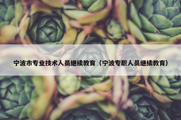 宁波市专业技术人员继续教育（宁波专职人员继续教育）