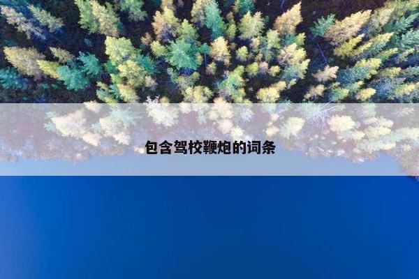 包含驾校鞭炮的词条