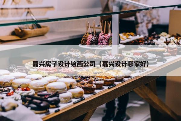 嘉兴房子设计绘画公司（嘉兴设计哪家好）