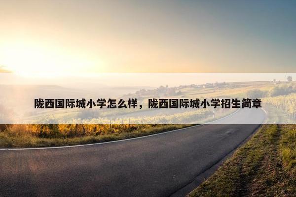 陇西国际城小学怎么样，陇西国际城小学招生简章