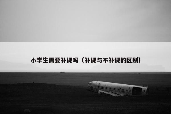 小学生需要补课吗（补课与不补课的区别）