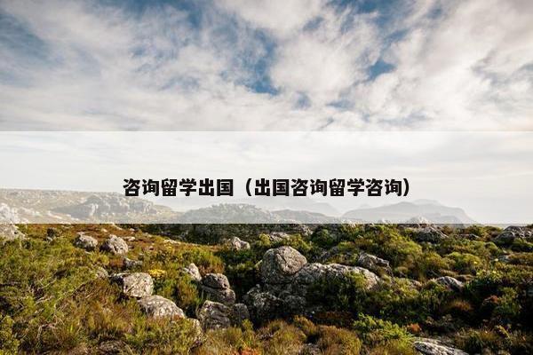 咨询留学出国（出国咨询留学咨询）