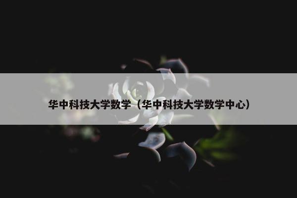华中科技大学数学（华中科技大学数学中心）