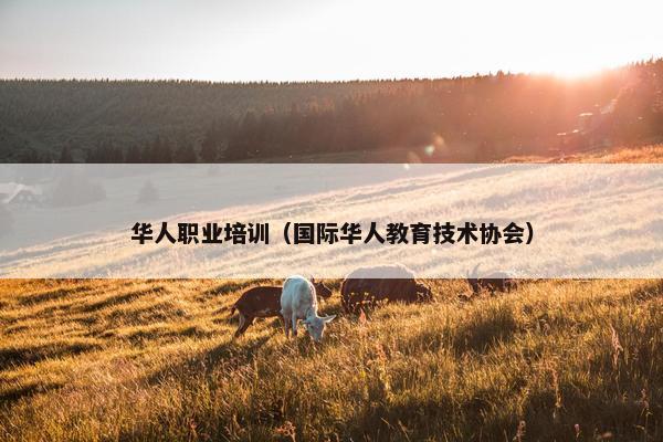 华人职业培训（国际华人教育技术协会）