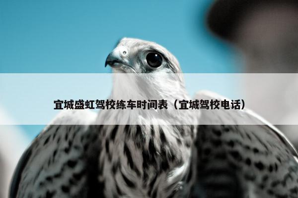宜城盛虹驾校练车时间表（宜城驾校电话）