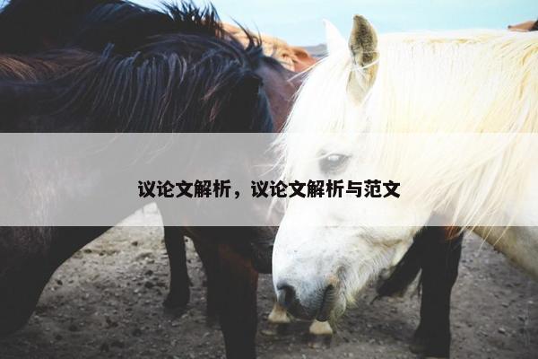 议论文解析，议论文解析与范文