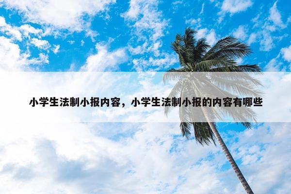 小学生法制小报内容，小学生法制小报的内容有哪些