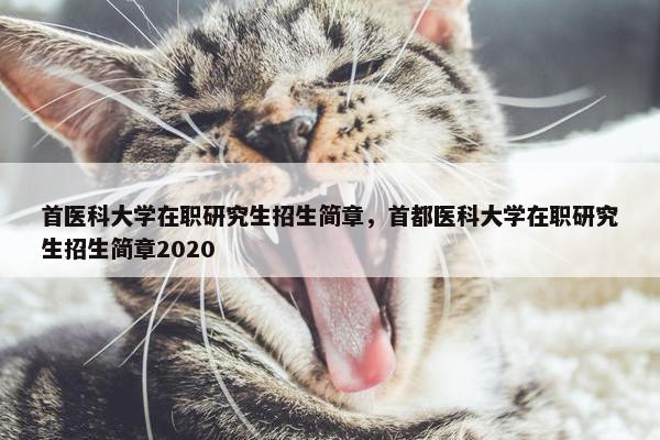 首医科大学在职研究生招生简章，首都医科大学在职研究生招生简章2020