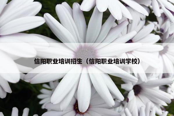 信阳职业培训招生（信阳职业培训学校）