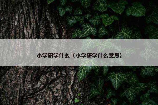 小学研学什么（小学研学什么意思）