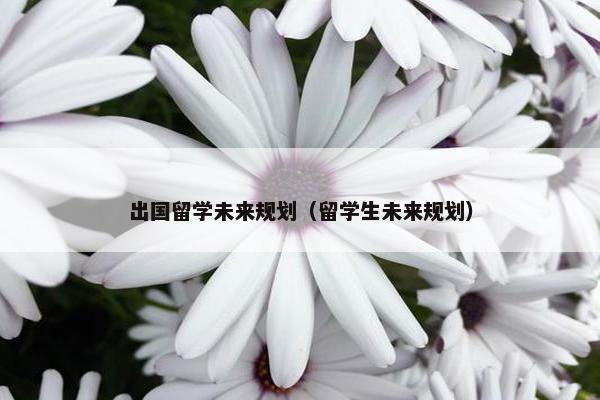 出国留学未来规划（留学生未来规划）