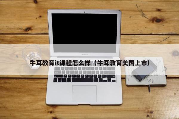 牛耳教育it课程怎么样（牛耳教育美国上市）