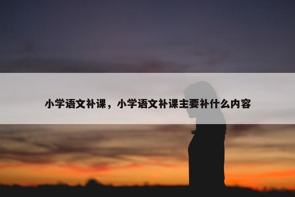 小学语文补课，小学语文补课主要补什么内容