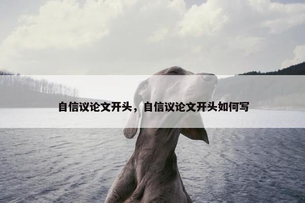 自信议论文开头，自信议论文开头如何写