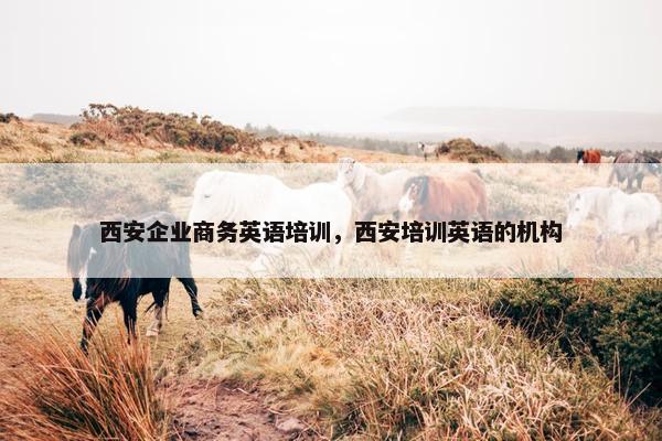 西安企业商务英语培训，西安培训英语的机构