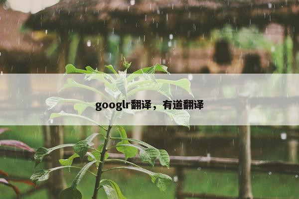 googlr翻译，有道翻译