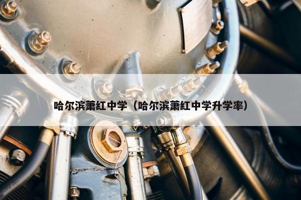 哈尔滨萧红中学（哈尔滨萧红中学升学率）