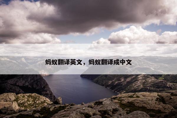 蚂蚁翻译英文，蚂蚁翻译成中文