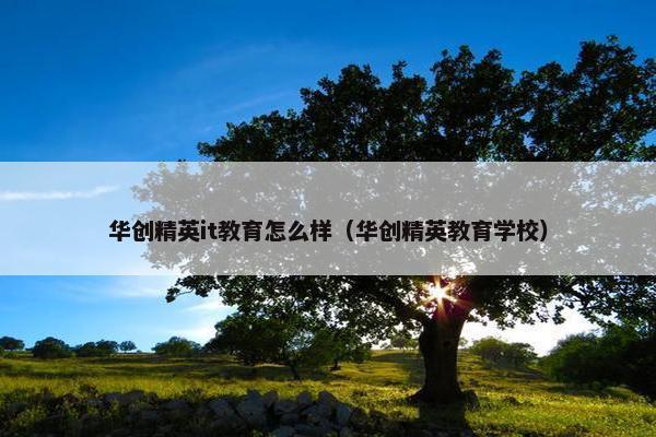 华创精英it教育怎么样（华创精英教育学校）