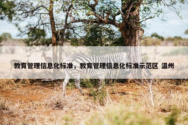 教育管理信息化标准，教育管理信息化标准示范区 温州