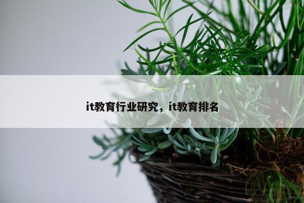 it教育行业研究，it教育排名